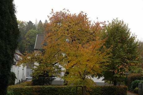 althuerth