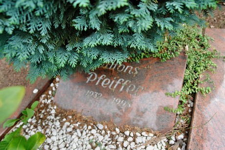 friedhof