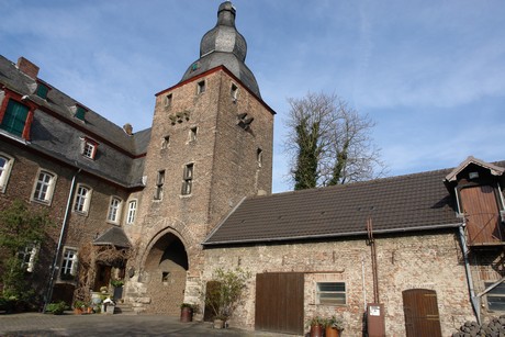 burg-efferen