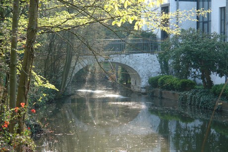 burg-gleuel