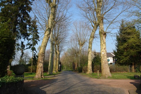 burg-gleuel