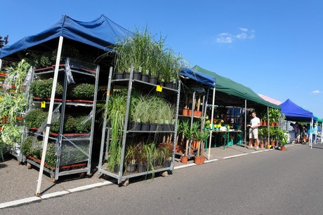 troedelmarkt