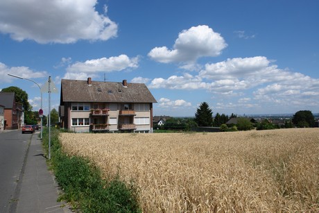 kendenich