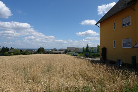 kendenich