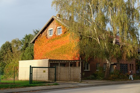 sielsdorf