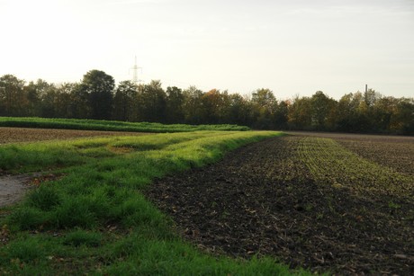 sielsdorf