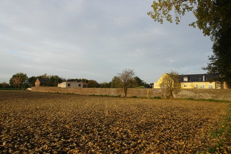 sielsdorf