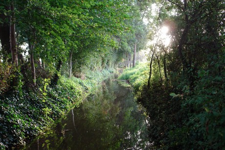 sielsdorf