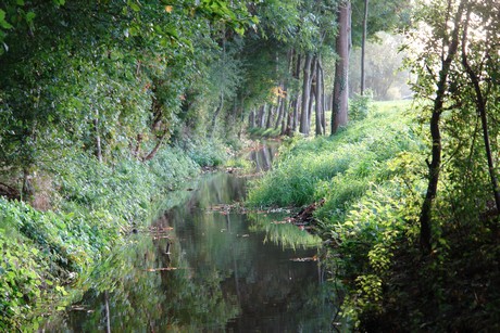 sielsdorf