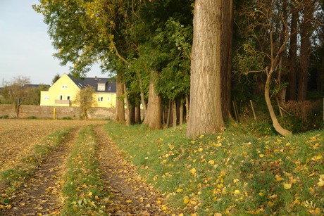 sielsdorf