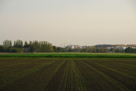 sielsdorf