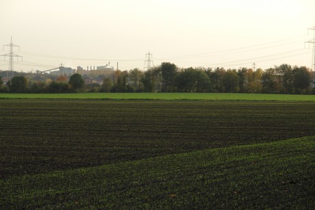 sielsdorf