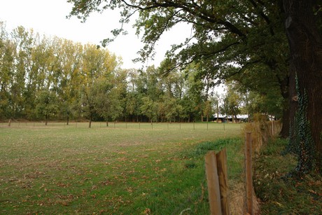 sielsdorf