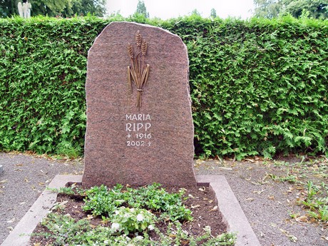 friedhof