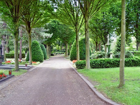 friedhof