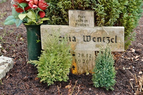 friedhof