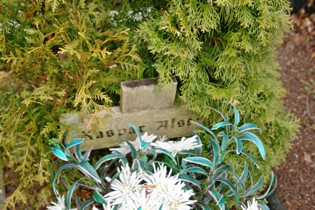 friedhof