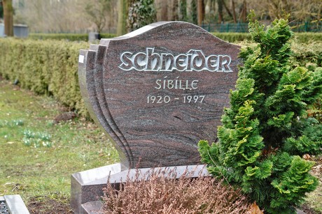 friedhof