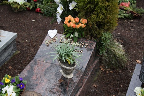 friedhof