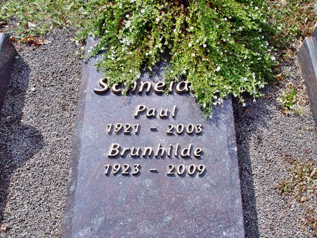 friedhof