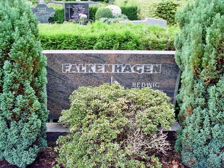 friedhof
