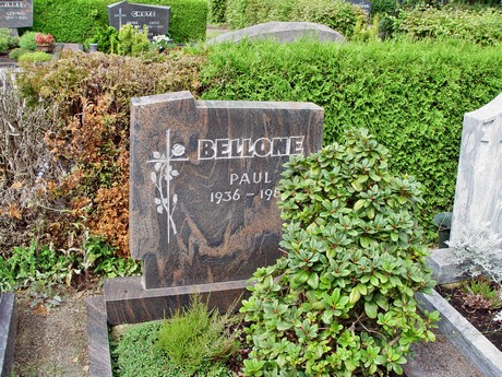 friedhof