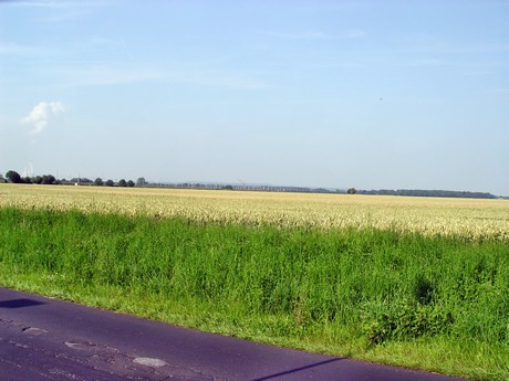 buir