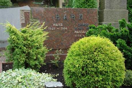 friedhof