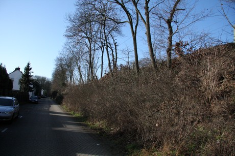 horrem