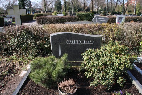 friedhof