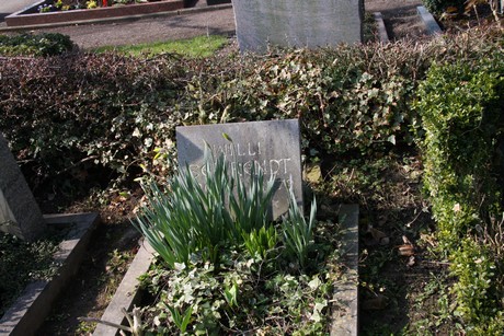 friedhof