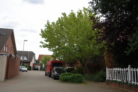sindorf