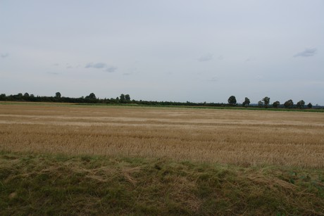 sindorf
