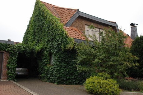 sindorf