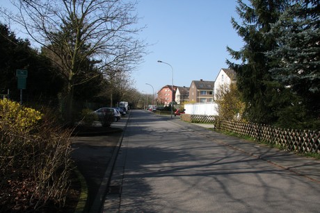 sindorf