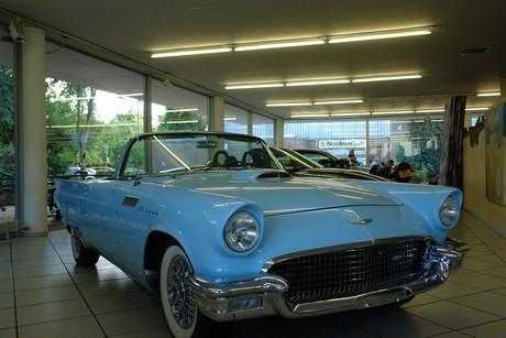 car-special