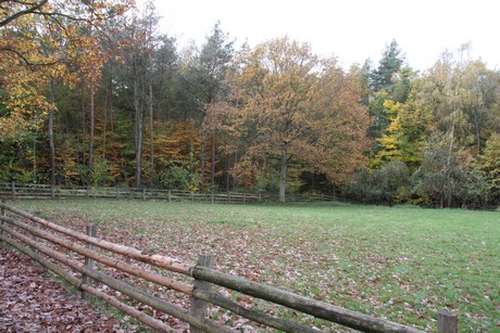 freilichtmuseum