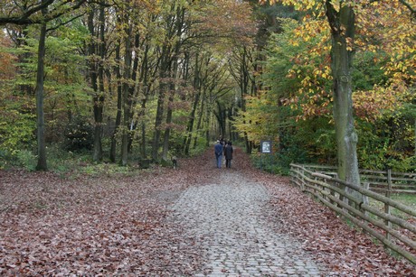 freilichtmuseum