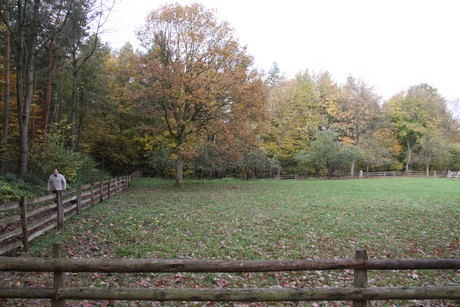 freilichtmuseum