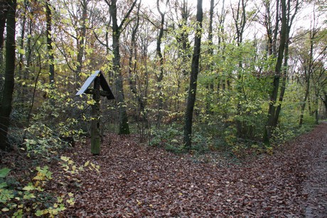 freilichtmuseum