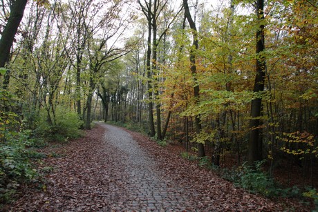 freilichtmuseum