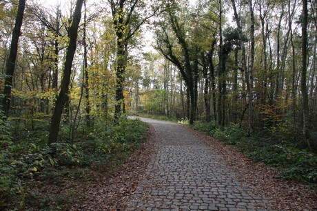 freilichtmuseum