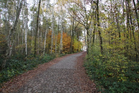 freilichtmuseum