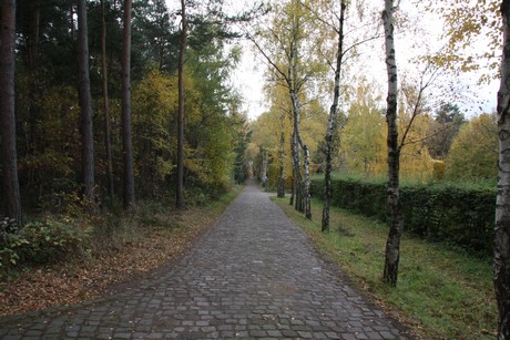freilichtmuseum