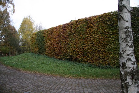 freilichtmuseum