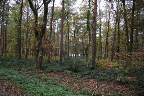 freilichtmuseum