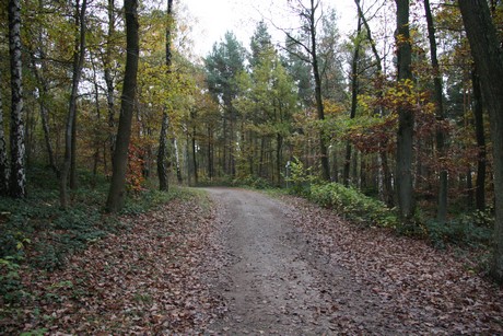 freilichtmuseum