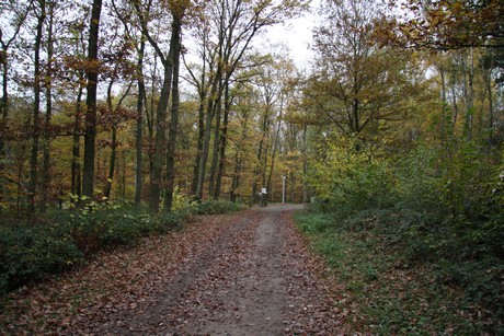 freilichtmuseum