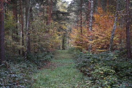 freilichtmuseum
