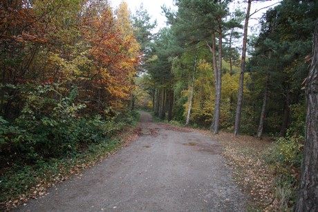 freilichtmuseum